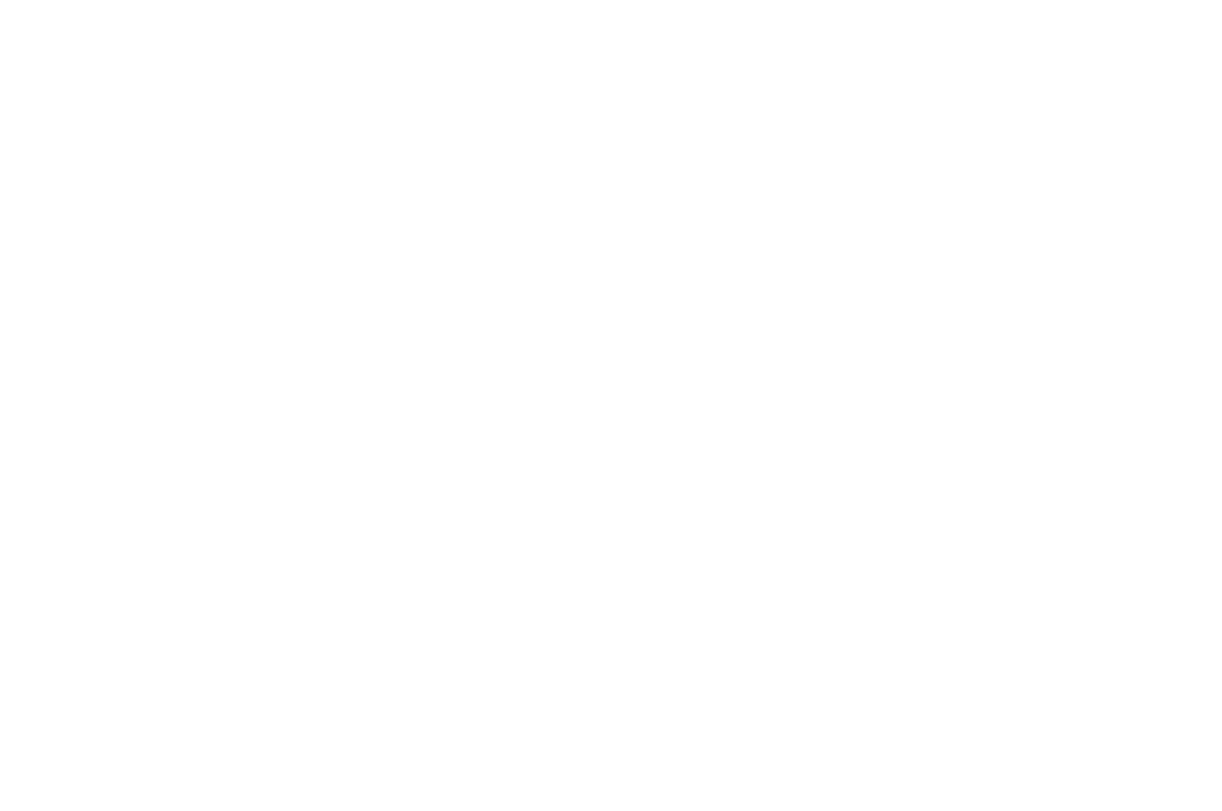 OFFICIAL SELECTION - Burbank International Film Festival - 2019